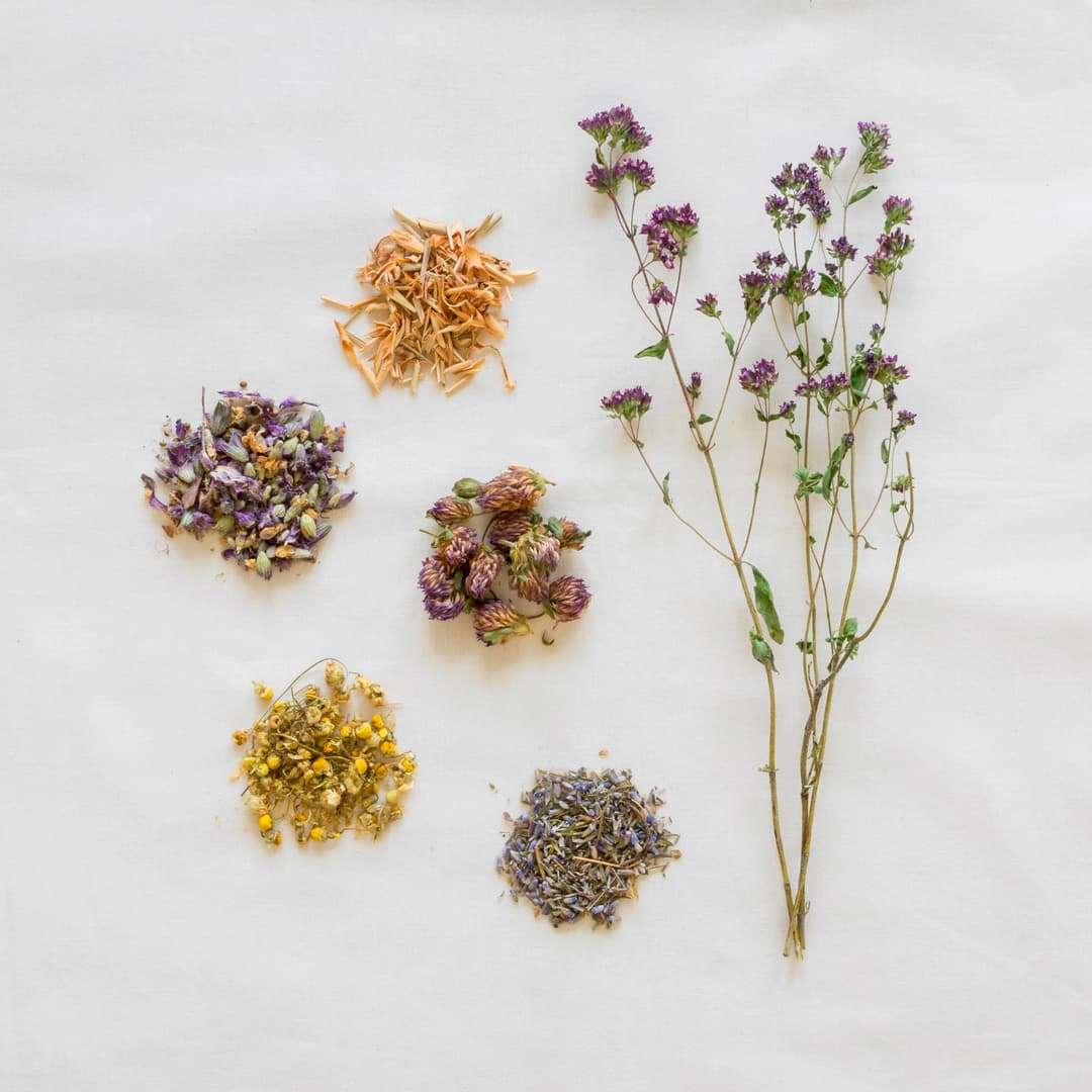 Herbs